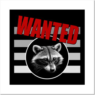 Racoon Posters and Art